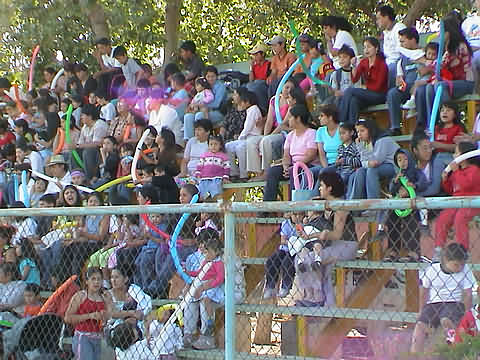 Click en la im&aacute;gen para ir al Indice de la secci&oacute;n